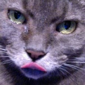 Meet your Posher, Holly